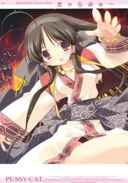 Page 13 of Kyaramyu