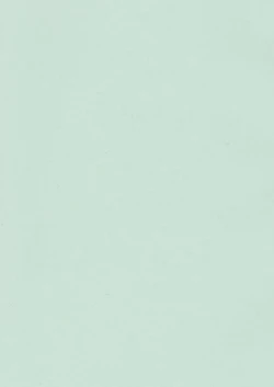 Page 4 of Pururun Body