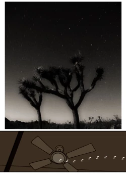 Page 83 of EVA-303 Chapter 5