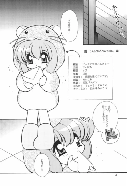 Page 6 of Himitsu Nikki