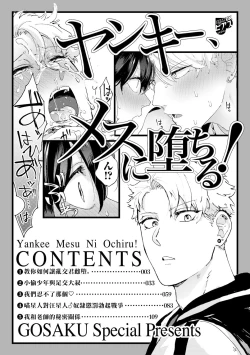 Page 2 of Yankee, Mesu ni Ochiru! | 不良雌堕!