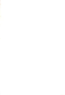 Page 37 of White Chuuihou