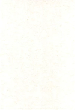 Page 4 of Magical Night 3