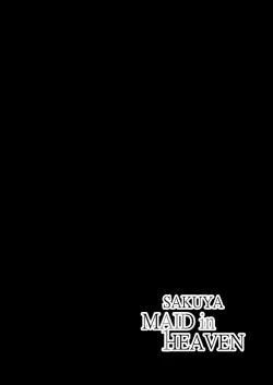 Page 379 of SAKUYA MAID in HEAVEN/ALL IN 1