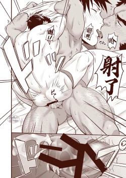 Page 28 of Araba Koso