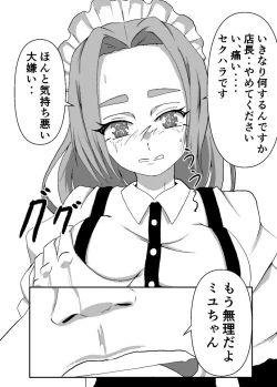 Page 22 of Boku no Sennyou Maid 2