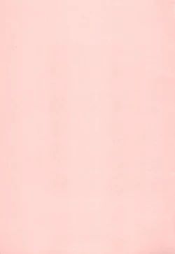 Page 3 of Hora, Onnanoko da yo.