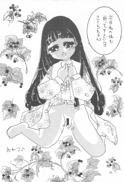 Page 36 of Cherry Blossom II