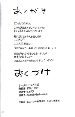 Page 21 of Touhou Derebitch 3