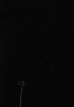 Page 117 of Yomi no Machi