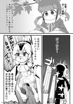 Page 67 of may Kemono Friends Thre Goudoushi