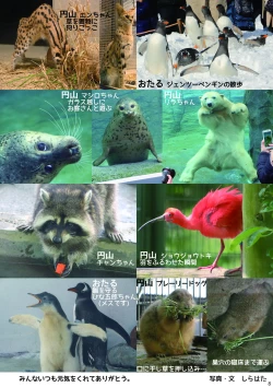 Page 10 of may Kemono Friends Thre Goudoushi 2