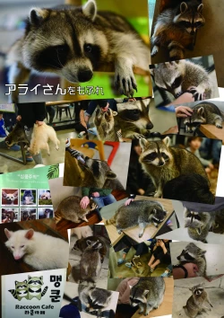 Page 153 of may Kemono Friends Thre Goudoushi 2