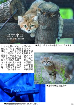 Page 160 of may Kemono Friends Thre Goudoushi 2