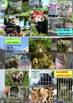 Page 18 of may Kemono Friends Thre Goudoushi 2