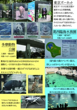 Page 8 of may Kemono Friends Thre Goudoushi 2