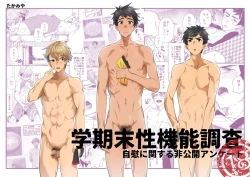 Page 1 of Gakkimatsu Seikinou Chousa