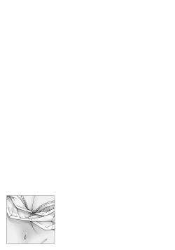 Page 43 of Otokonoko de Mesuiki Taiken!? Icha Love, Ganborare Tengoku