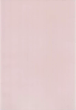 Page 4 of Ponponpon 6