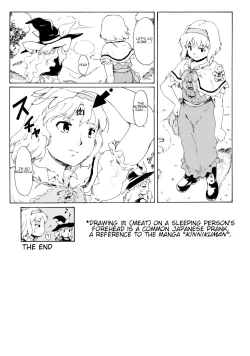 Page 25 of Touhou Ukiyo Emaki "Remember☆Alice" ～Memento Alice～