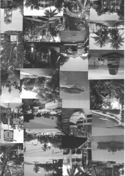 Page 45 of Summer Solstice