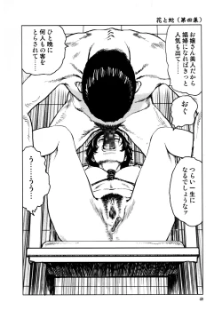 Page 52 of Hana to Hebi 4