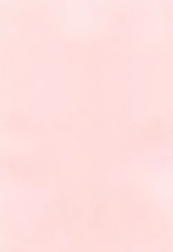 Page 183 of Ero Tissue