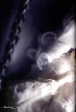 Page 40 of Der Tilgung