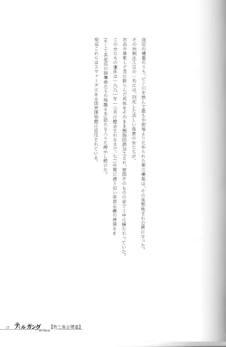 Page 17 of Der Tilgung