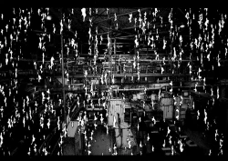 Page 188 of Tropical Citron 2