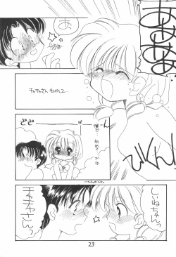 Page 23 of Aapaa Sunflower