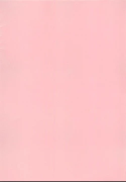 Page 2 of Mechashiko Sharo-chan 2