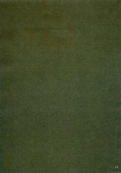 Page 16 of ISLAND x ISLAND