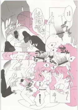 Page 25 of Coloring matter of Momokami