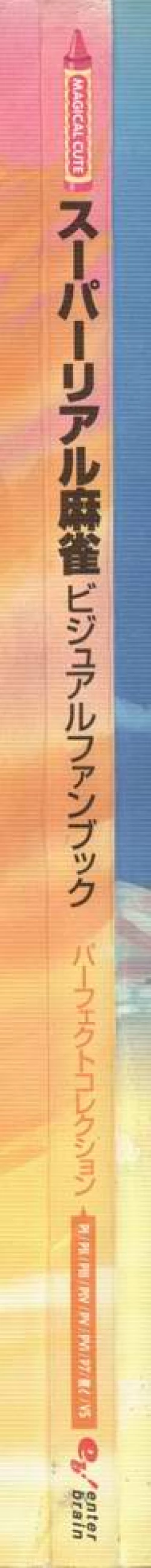 Page 228 of Super Real Mahjong Visual Fan Book Perfect Collection