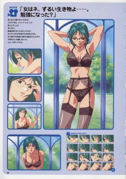 Page 30 of Super Real Mahjong Visual Fan Book Perfect Collection