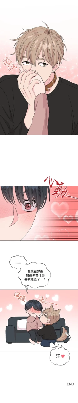 Page 53 of 奇妙玩具来袭 Peach, Pitch Tail 01+02