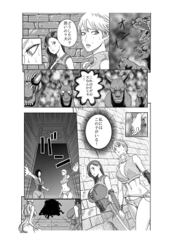 Page 27 of Kuroinu no Toride