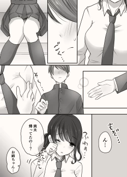 Page 12 of Ane to Otouto no Ecchi na Routine