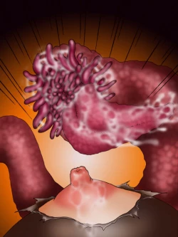 Page 36 of 触肉強触 1-7