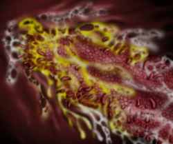 Page 56 of 触肉強触 1-7