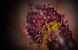 Page 83 of 触肉強触 1-7