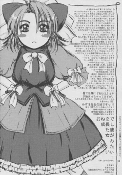 Page 13 of Onegai mahochan