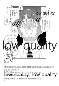 Page 29 of Shizuoka-ken Seishounen no Tame no Ryoukou na Kankyoseibi ni Kansuru Jorei ni Teishoku Shitai