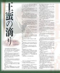 Page 31 of BitterPrincess Vol.3