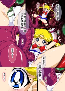 Page 16 of Sailor Moon Chu!