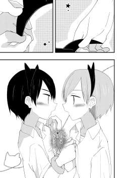 Page 36 of Riba Riba Reversible