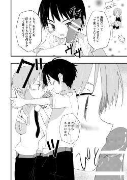 Page 7 of Riba Riba Reversible