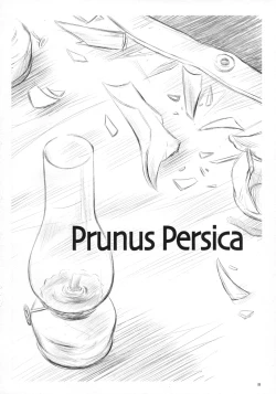 Page 7 of Prunus Persica