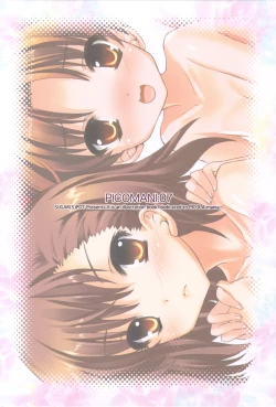 Page 28 of Picomani:07